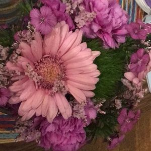 Meet your Posher, Laura